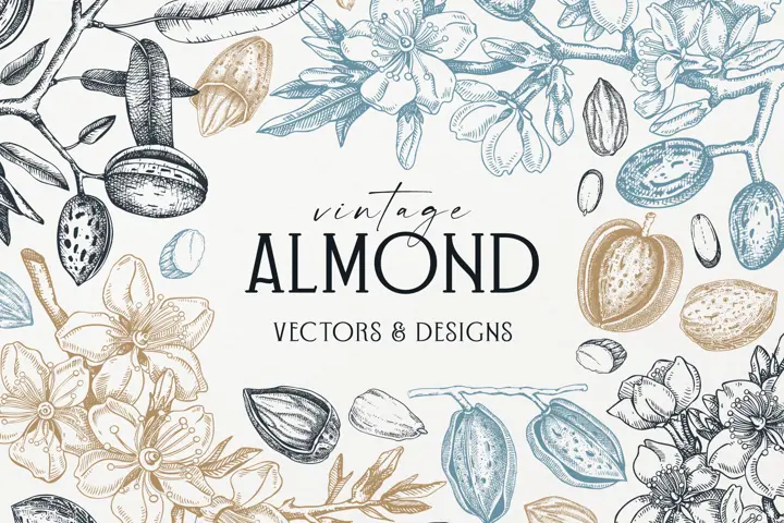 Vintage Almond Nut Vectors And Floral Designs